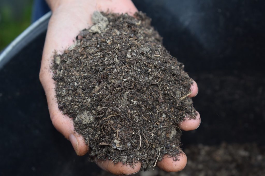 Person holding mulch
